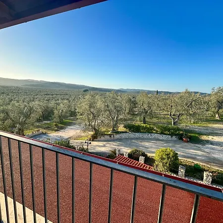 Valle Degli Ulivi فندق مبيت وإفطار